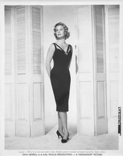 Butterfield 8 Movie 1960 Photo Dina Merrill  Studio Portrait  a*P181a