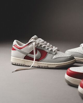 Nike Dunk Low Light Iron Ore Gym Red HJ9093-030 Mens Shoes New