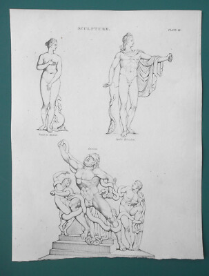 SCULPTURE ART Venus de Medici Apollo Belvedere Laocoon - 1822 Print A. Rees