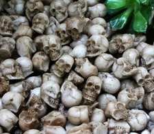 Mini Resin Skulls lot of 10 Haunted House Decor Prank Spook Doll House Halloween