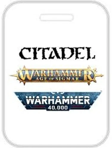 Gaunt Summoner on Disc Of Tzeentch Warhammer Age of Sigmar