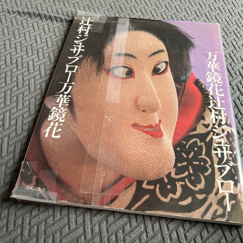 Doll Artist Tsujimura Jusaburo Kaleidoscope Flower Collection Art works -Vintage - Image 1