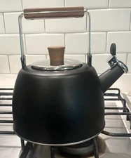 Well Equipped Kitchen Black Matte Stainless Steel Tea Kettle
