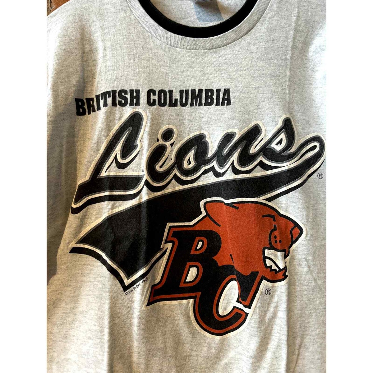 1992 British Columbia Tee View 2