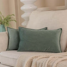 Sage Decorative Lumbar Velvet Throw Pillow Covers 12x20 inch Set of 2,Broadside 