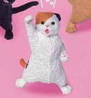 Yell Nyaoooo!2 Mini Cat Figure Collection Gasha Toy Scottish Fold Cat