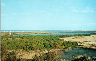 Fresh Water Lake Near Shores of North Carolina Outer Banks NC Postcard B32