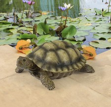 Gilbert la Tortue-Boîte Statue d'Animal de Décoration de Jardin, 22.75 cm, polyr
