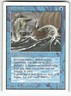 Sea Serpent Unlimited Edition Common Magic: the gathering Near Mint or Better