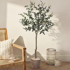 The White Company Olive Potted Tree Faux Greenery Terracotta Pot Decoration