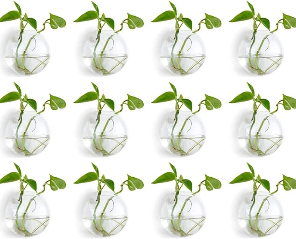 Versatile 12PCS Wall-Mounted Planters - Modern Hydroponic Glass Vases - Image 3 of 4