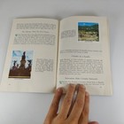 Foto 12 di 12