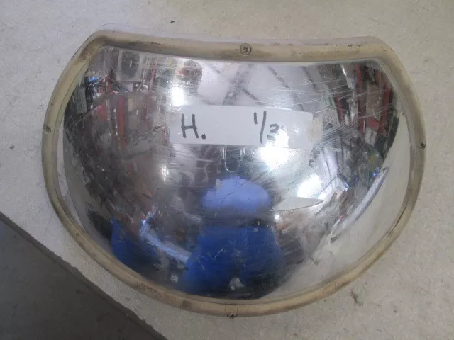 Fish 2024 eye mirror
