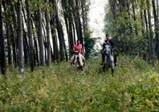 Italian singer songwriter Lucio Battisti and Italian lyricist Mogo- 1970 Photo 1