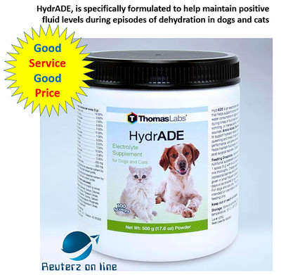 electrolyte for dogs
