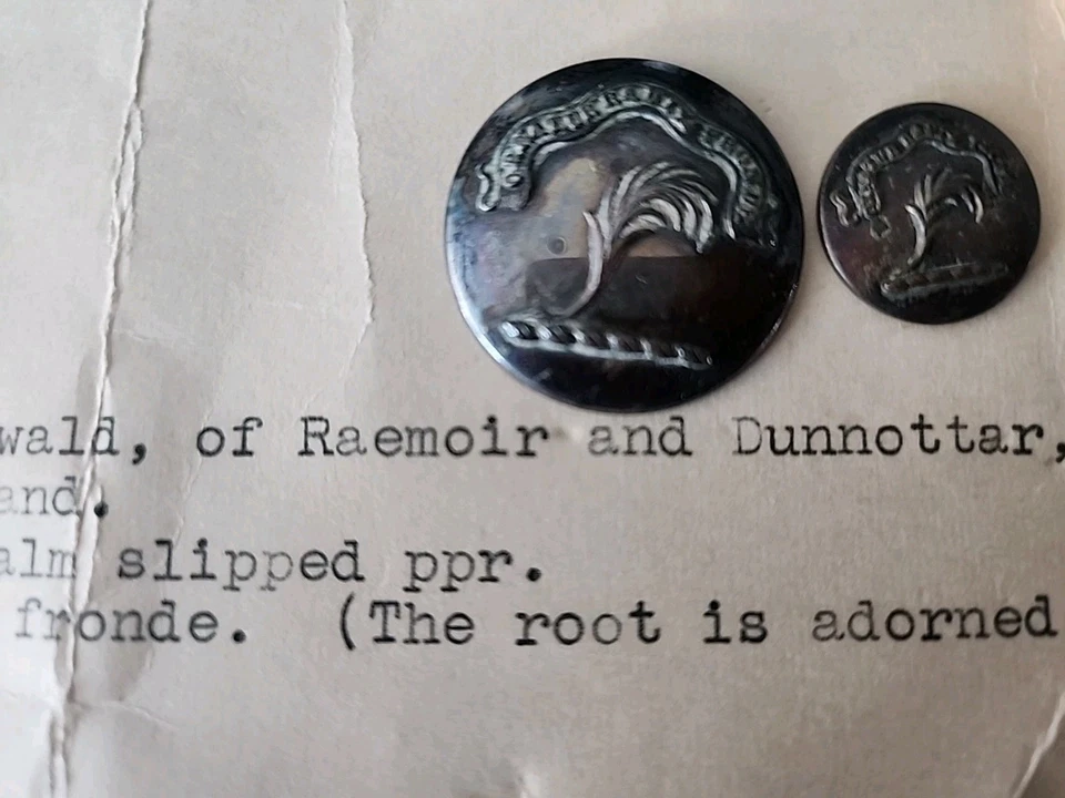 Antique Pewter? Metal Buttons Ornatur Radix Fronde Branch Of Palm - Image 2 of 4