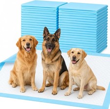 XL Dog Pee Pads 55x31in XXXL Puppy Training Absorbent Pet Toilet Mat 40ct