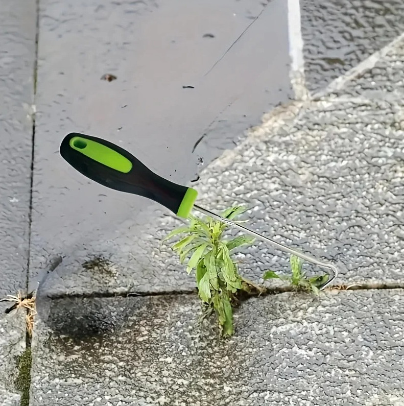 1Pc Weeding Hook Tool for Removing Weeds & Moss from Courtyard Crevices Keep you