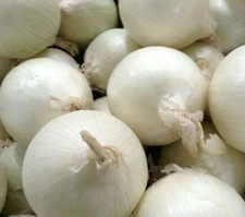 WHITE ONION SEEDS 250+ SWEET SPANISH allium VEGETABLE GARDEN FREE SHIPPING