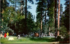 Vtg 1950s Sugar Pines Oakland Feather River Camp Quincy California CA Postcard