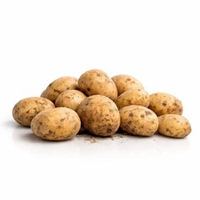 4,5 Kg Patate da Semina a Pasta AGRIA – Guida alla Semina + Assistenza Agraria