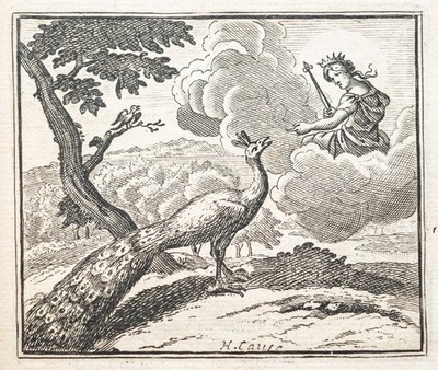 Fabeln de la Fontaine Pfau Kupferstich Henrik Cause Passepartout 1728