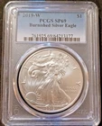 Photo of a 2019-W American Silver Eagle from an eBay listing that sold on Jul 15, 2026