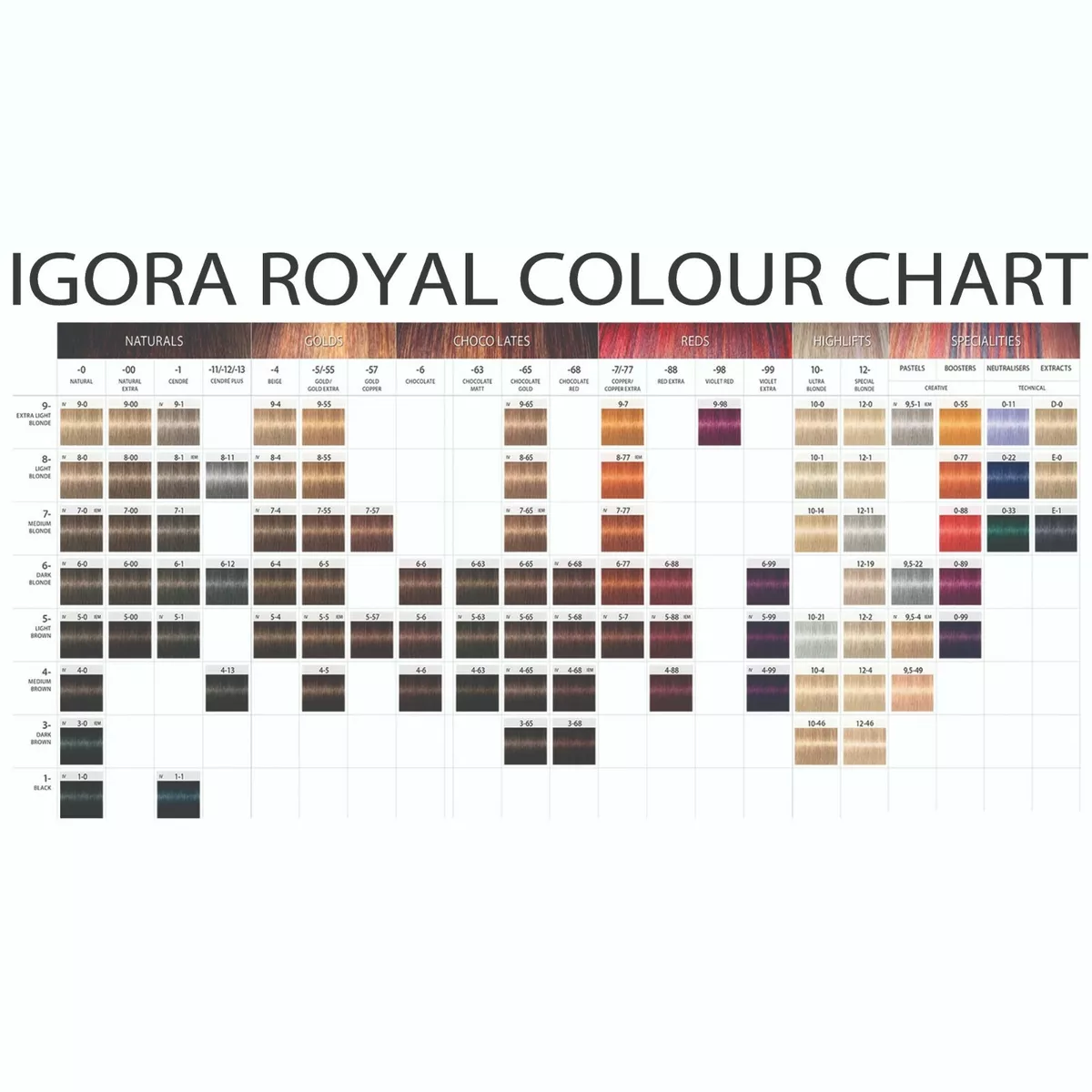  Schwarzkopf Professional Igora Royal Permanent Hair Color, 8-77,  Light Blonde Copper, 60 Gram : Chemical Hair Dyes : Beauty & Personal Care