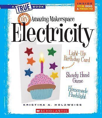 Amazing Makerspace DIY Electricity (a True Book: Makerspace Projects)