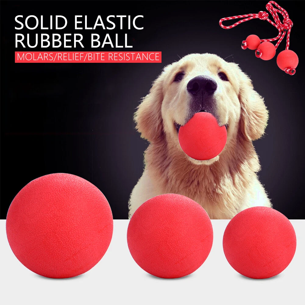 Indestructible Solid Rubber Ball Pet