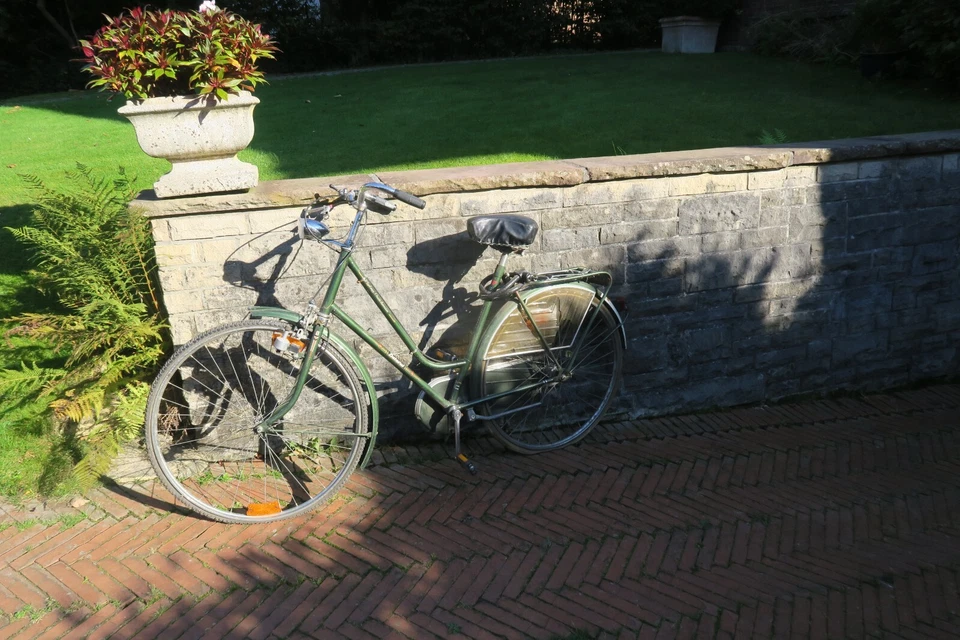 hollandrad batavus dame