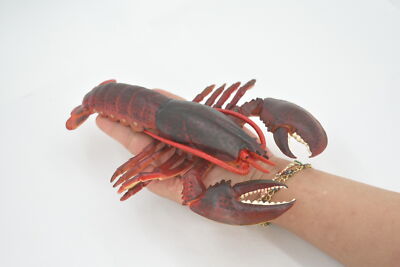 Life Size Model Lobster Realistic Hard Rubber Educational Model 9