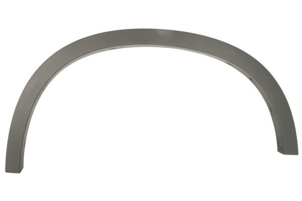 Left Rear BLIC 5703-04-0082423P Trim/Protection Strip, wing for BMW