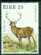 IRELAND  1980  Cervus elaphus   Red  Deer    MNH