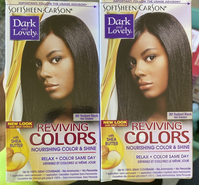 2 SoftSheen Carson DARK & LOVELY Reviving Colors Hair Color 391