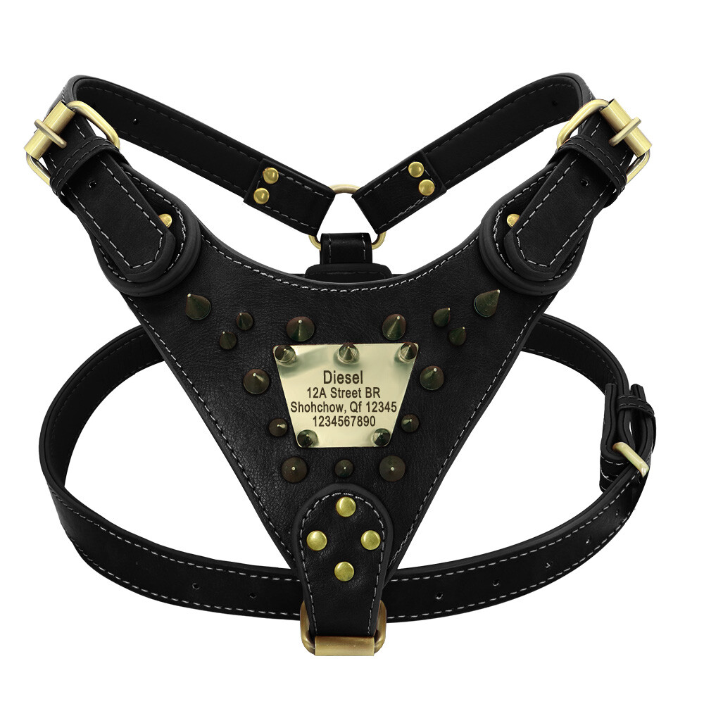 Personalized Real Leather Spiked Studded Big Dog Harness Name