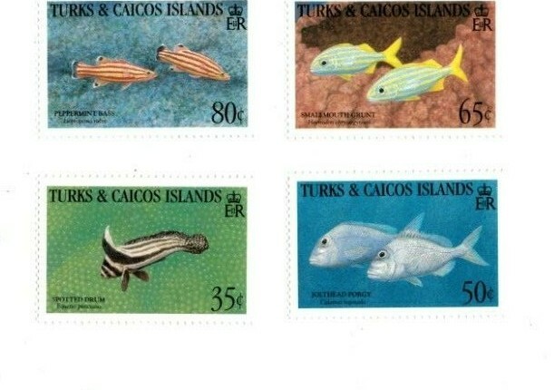 Imagen 2 de 3