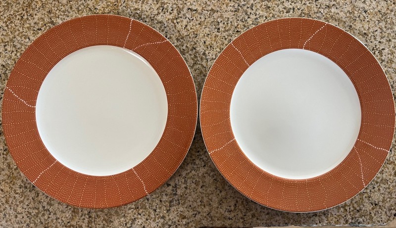 Calvin Klein Nomad Dinner Plate rust EUC
