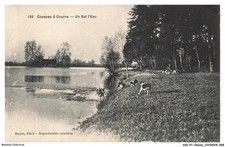 ASIP1-0035-CHASSE - Hunting Hounds - A Water Bat