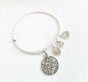 Alex and Ani Because I Love You Aunt Charm Silver Bracelet Adjustable NWOTAG 