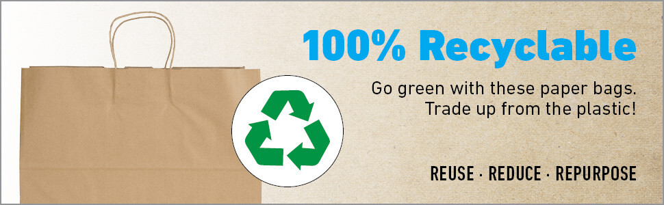 Paper Shopping Bags 100 Natural Kraft 16" x 6 x 12 ½" Retail Merchandise Handles