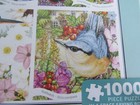 Foto 15 di 16