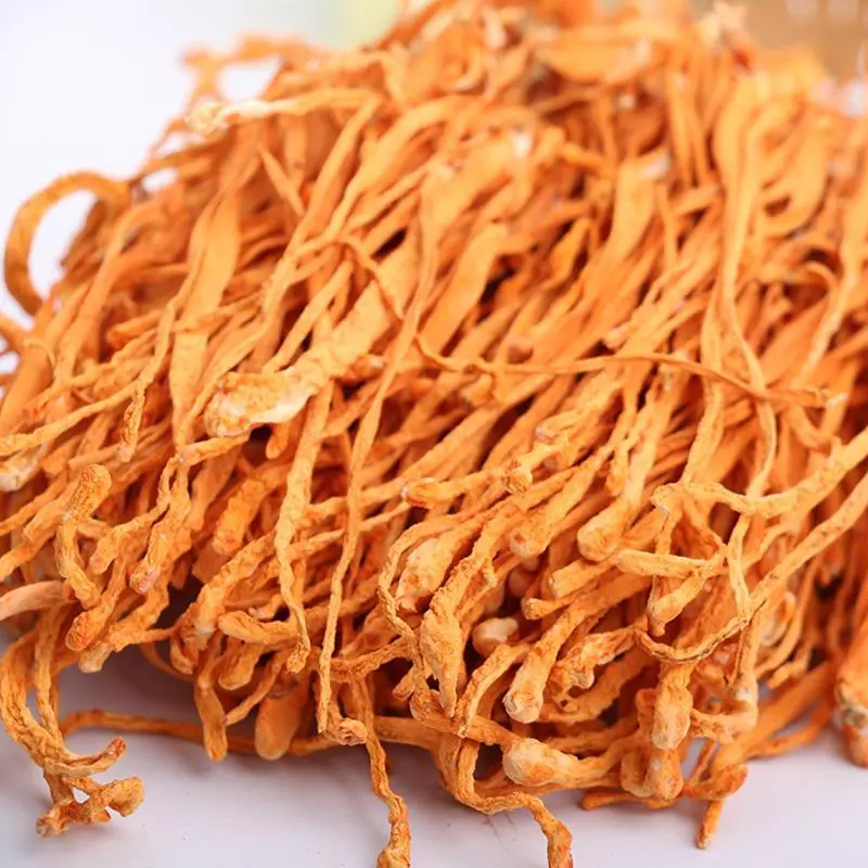 Cordyceps flower cheap