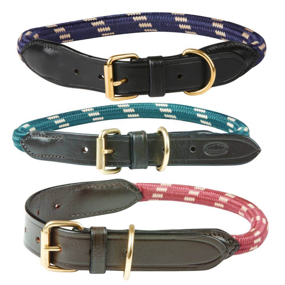 Weatherbeeta Rope Leather Dog Collar eBay