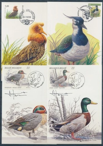 XE60241 Belgium 1989 -2002 ducks animals birds maxicards used