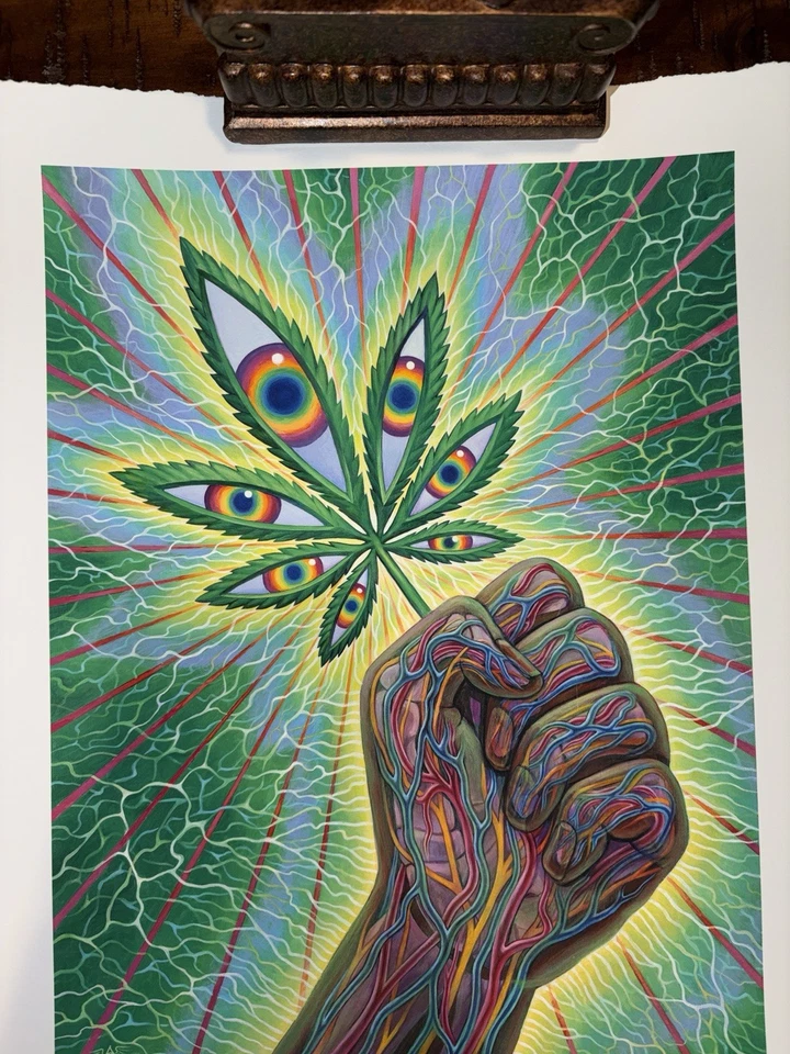 亚历克斯·格雷大麻合法化艺术印刷海报 S/# 418/420 带真品证明 — 第 2/4 张图片