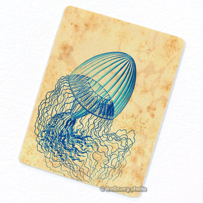 Leptomedusae Jellyfish #1 FRIDGE MAGNET, Decorative Jellies Ernst Haeckel