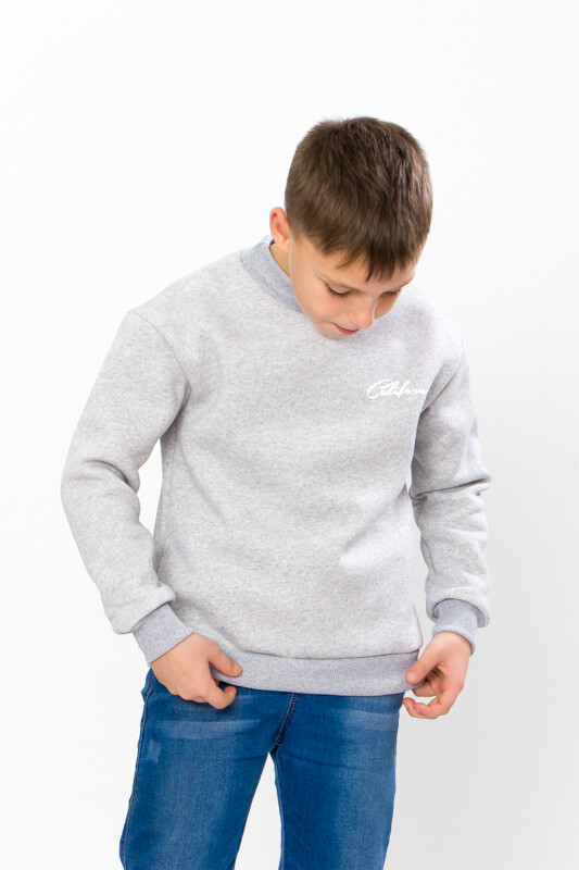 Sweatshirt (boys), Winter,  Nosi svoe 6235-025-33 (siryj)