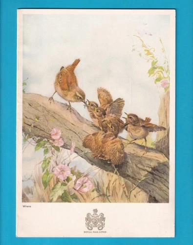 Original Royal Mail Line R.M.S.  ANDES  Dinner MENU  Wrens