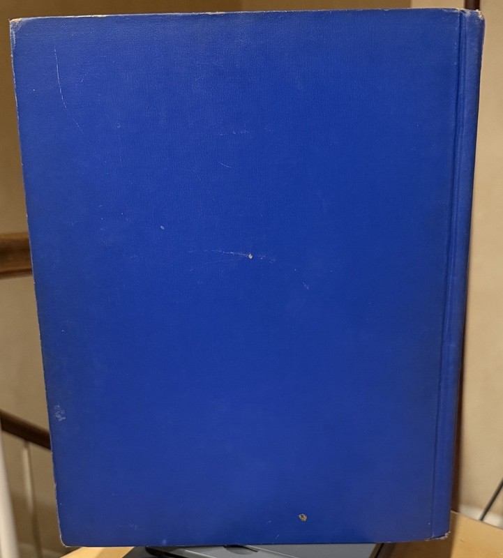 the illustrated bible story book new testament by seymour loveland @1925